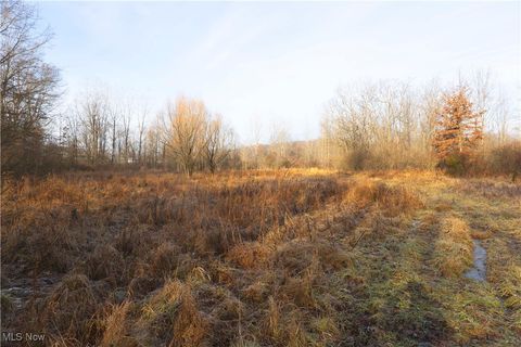 Tiny photo for 1100 Lantz Avenue, Mansfield, OH 44906 (MLS # 5179012)