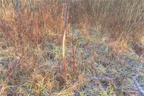 Tiny photo for 1100 Lantz Avenue, Mansfield, OH 44906 (MLS # 5179012)