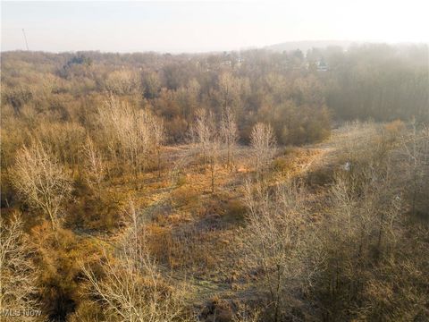 Tiny photo for 1100 Lantz Avenue, Mansfield, OH 44906 (MLS # 5179012)