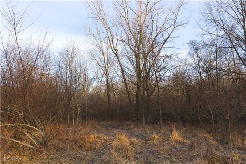 Tiny photo for 1100 Lantz Avenue, Mansfield, OH 44906 (MLS # 5179012)