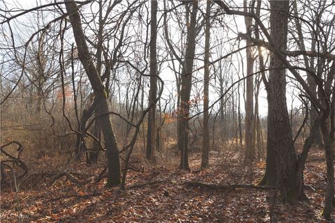 Tiny photo for 1100 Lantz Avenue, Mansfield, OH 44906 (MLS # 5179012)