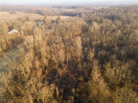 Tiny photo for 1100 Lantz Avenue, Mansfield, OH 44906 (MLS # 5179012)