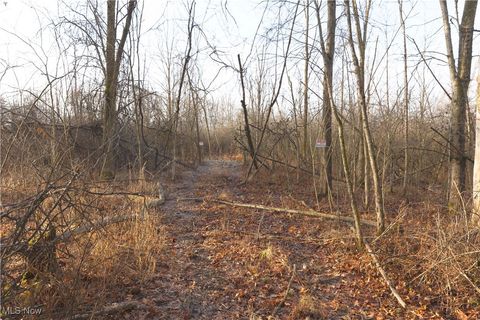 Tiny photo for 1100 Lantz Avenue, Mansfield, OH 44906 (MLS # 5179012)