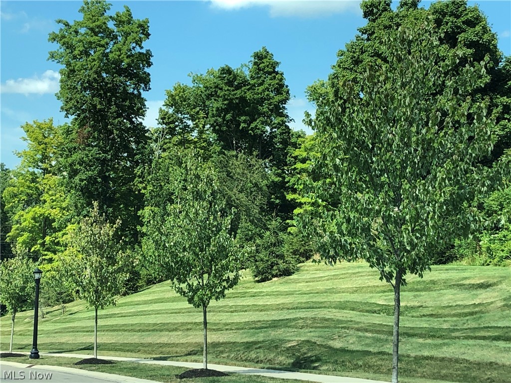 Enclave at Old Mill - Residential