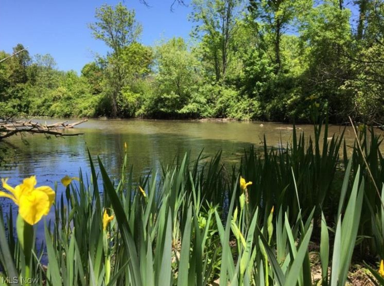 Enclave at Old Mill - Residential