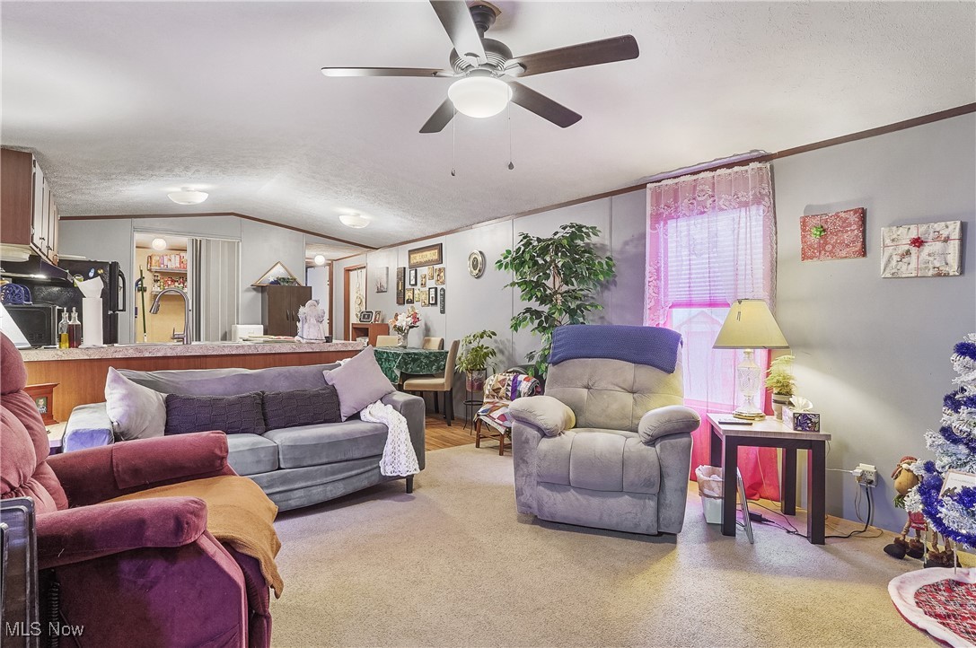 28 E Buddy Street, New Franklin, Ohio image 2