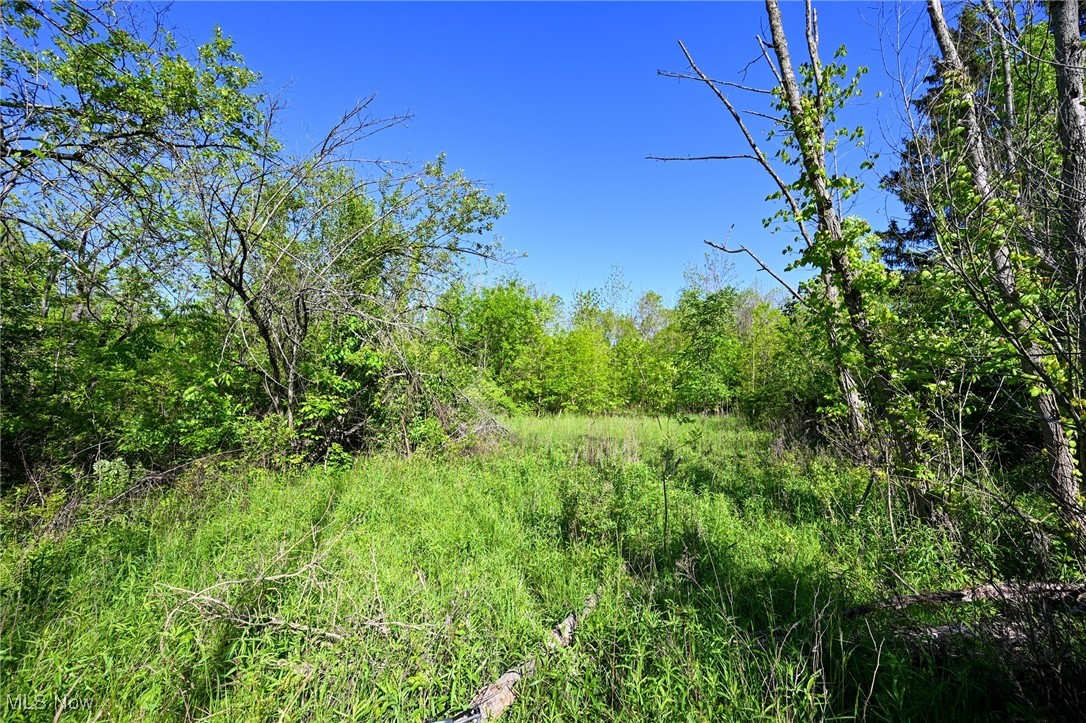 11861 Edgerton Road, North Royalton, Ohio image 23