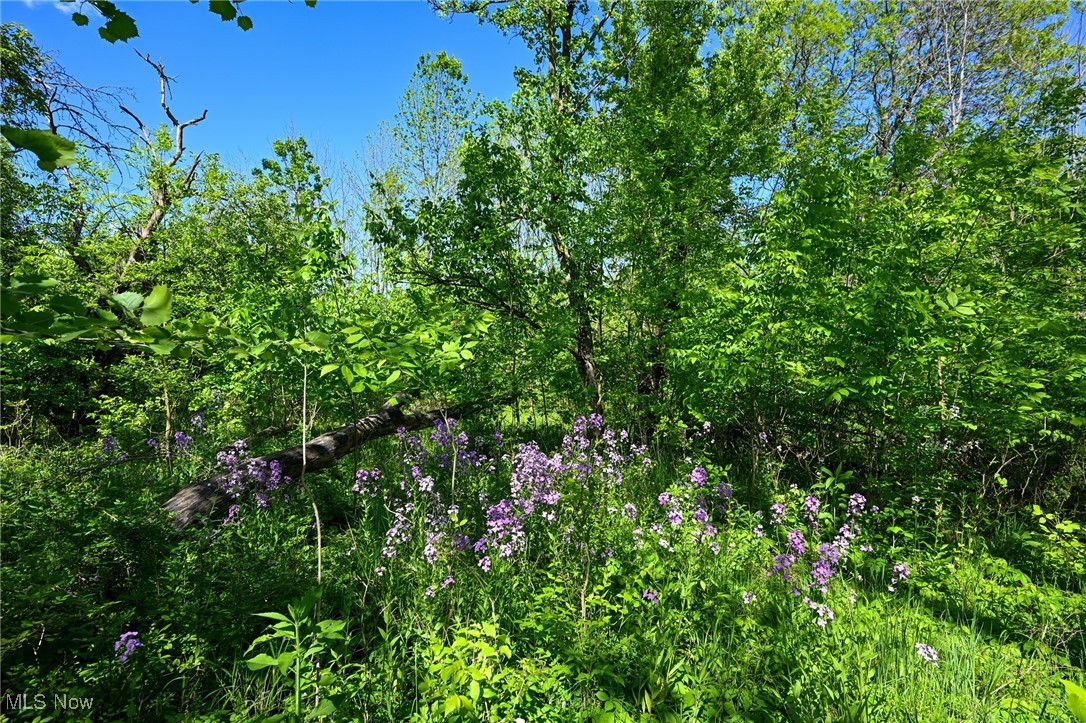 11861 Edgerton Road, North Royalton, Ohio image 21