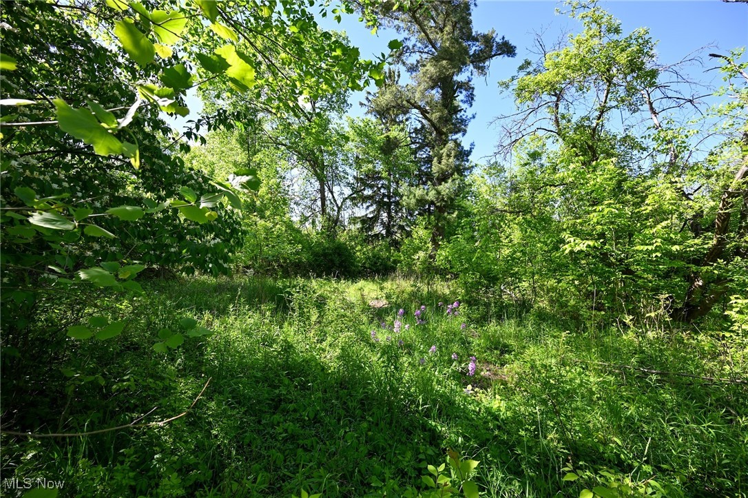 11861 Edgerton Road, North Royalton, Ohio image 4