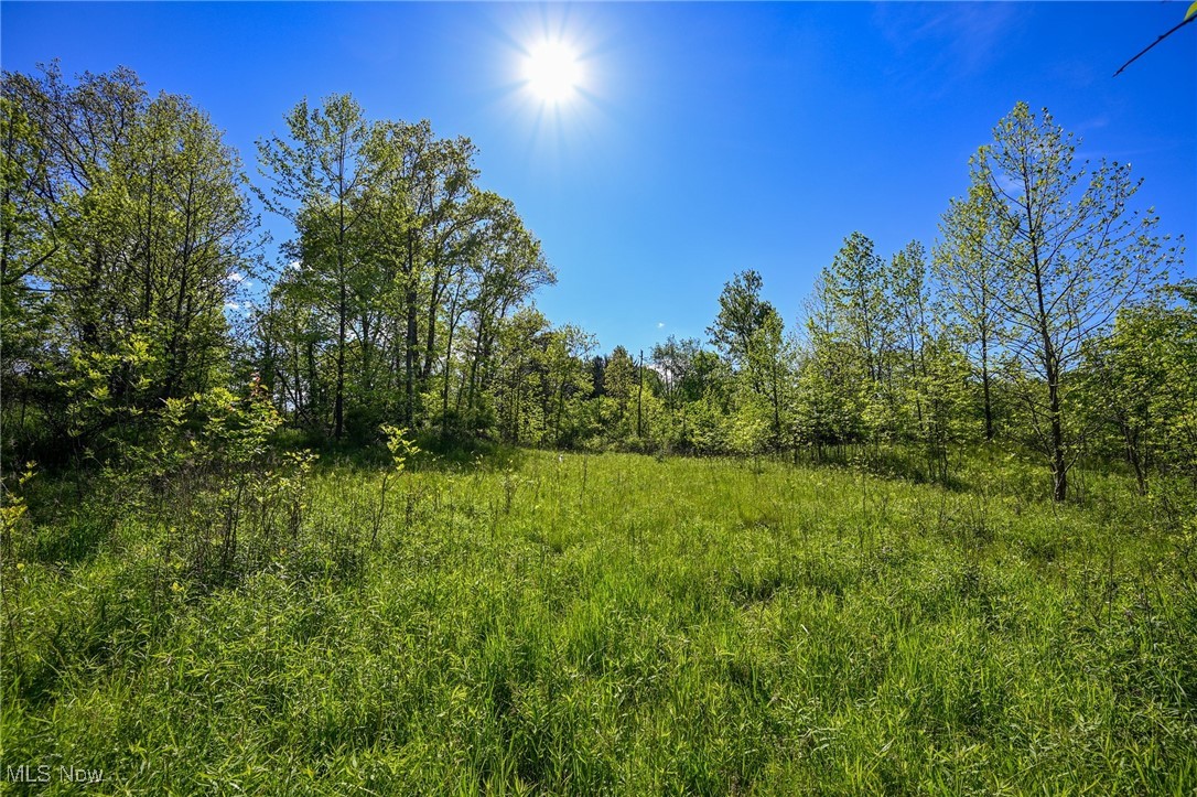 11861 Edgerton Road, North Royalton, Ohio image 22