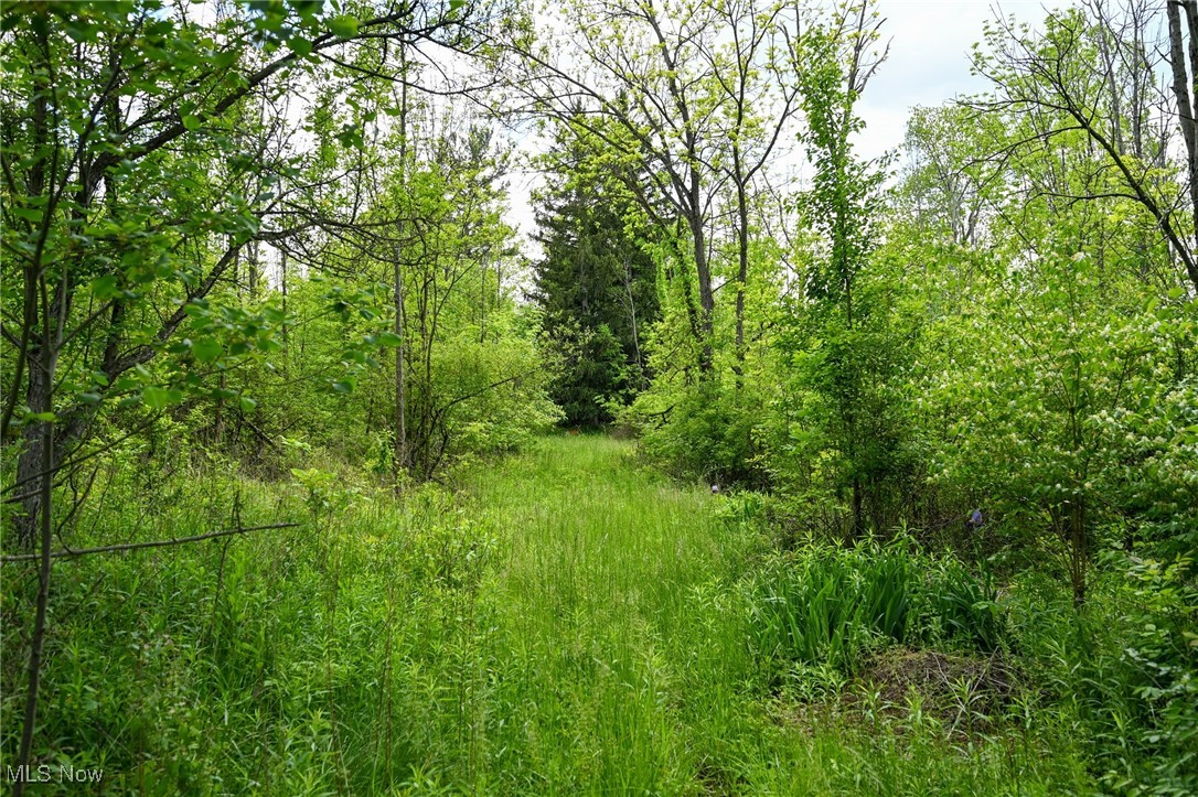 11861 Edgerton Road, North Royalton, Ohio image 18