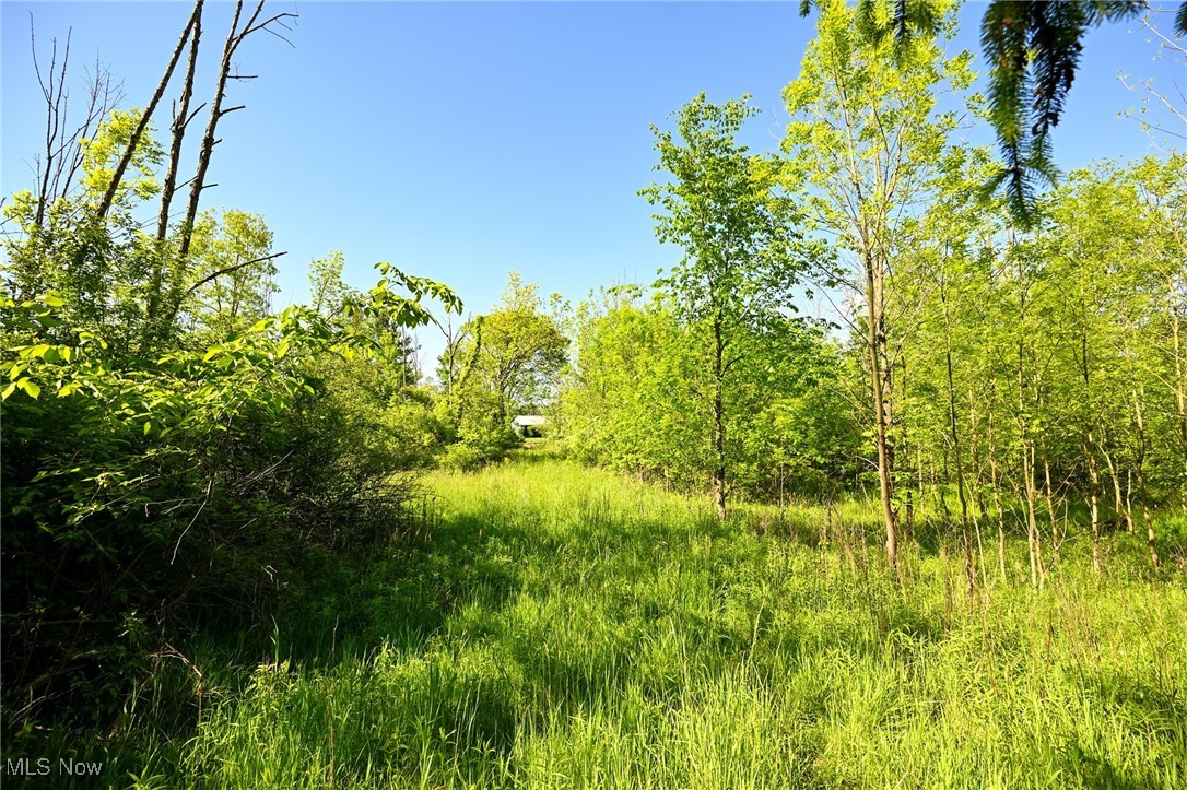 11861 Edgerton Road, North Royalton, Ohio image 26