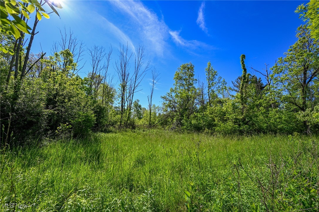 11861 Edgerton Road, North Royalton, Ohio image 17