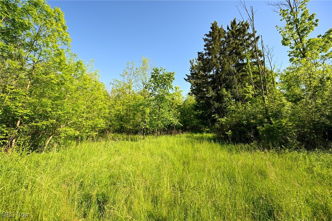 11861 Edgerton Road, North Royalton, Ohio image 24