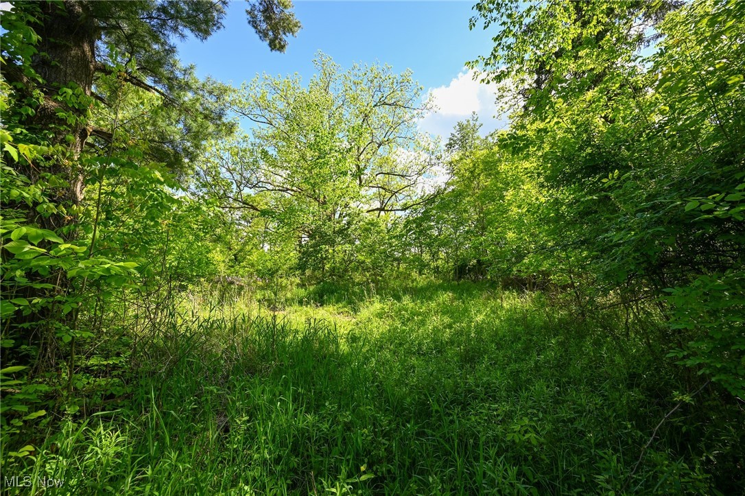 11861 Edgerton Road, North Royalton, Ohio image 20
