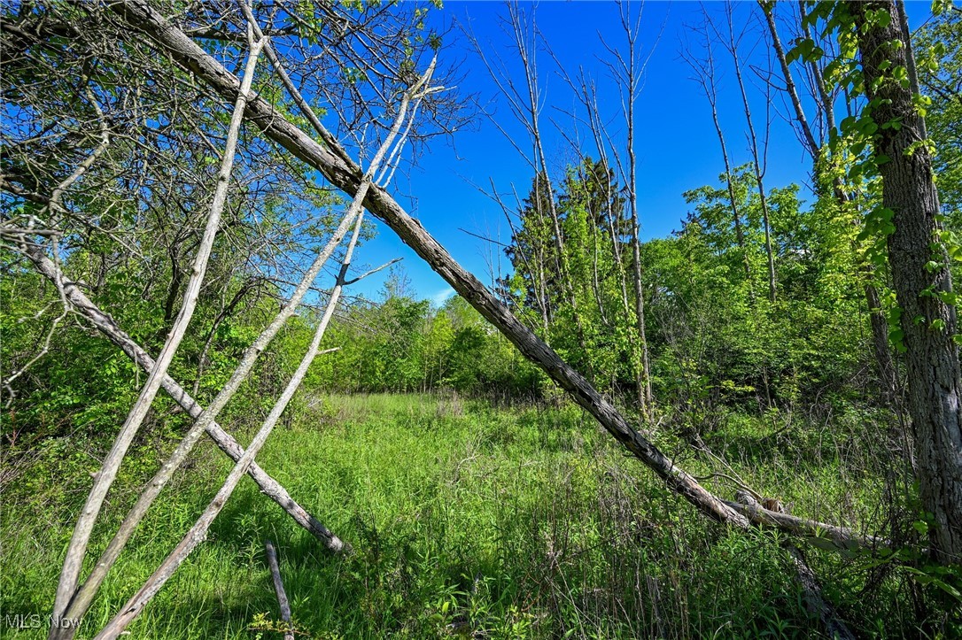 11861 Edgerton Road, North Royalton, Ohio image 11