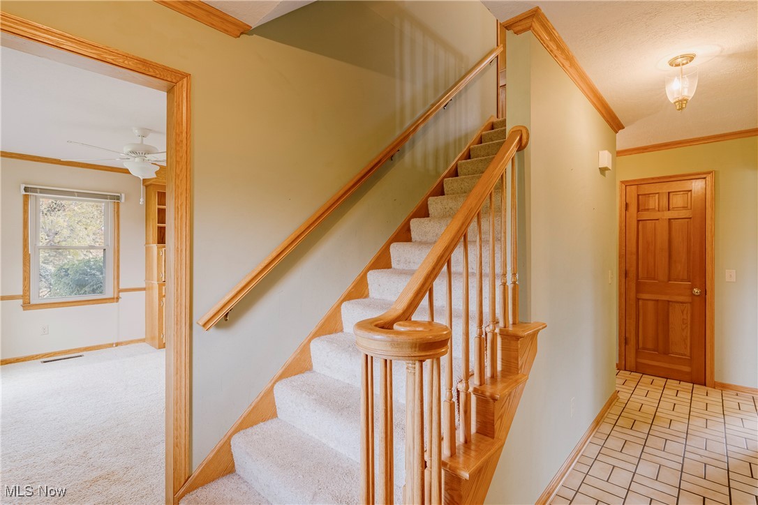 Carie Hill Estates - Residential