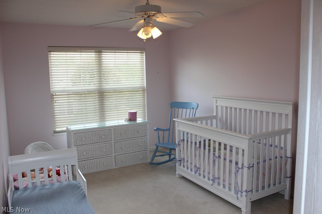 Ridges/Camden Park - Residential