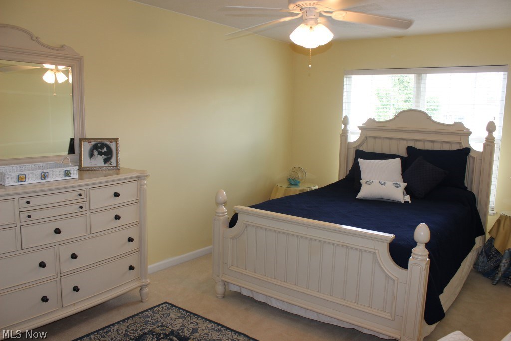 Ridges/Camden Park - Residential