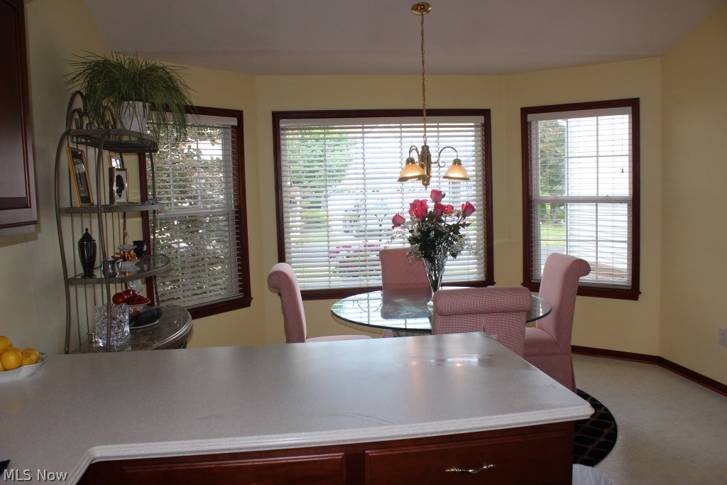 Ridges/Camden Park - Residential