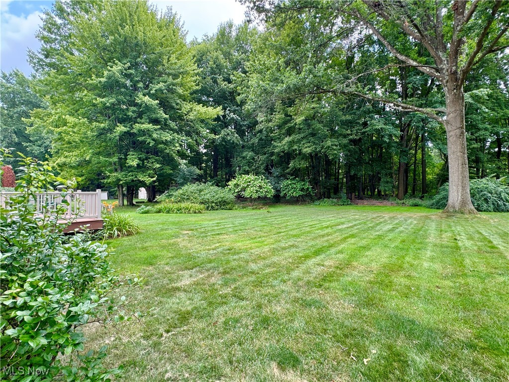 6925 Colleen Drive