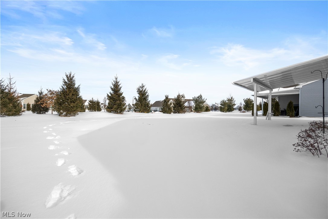 Four Seasons/Chestnut Rdg Sub - Residential