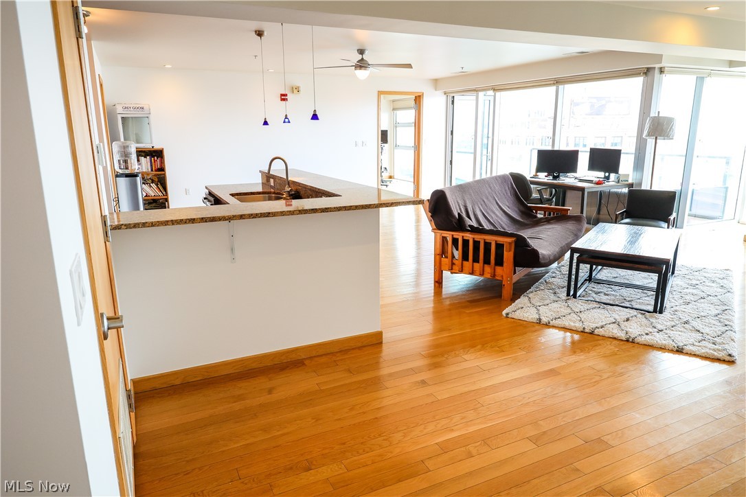 Pinnacle Condo - Residential