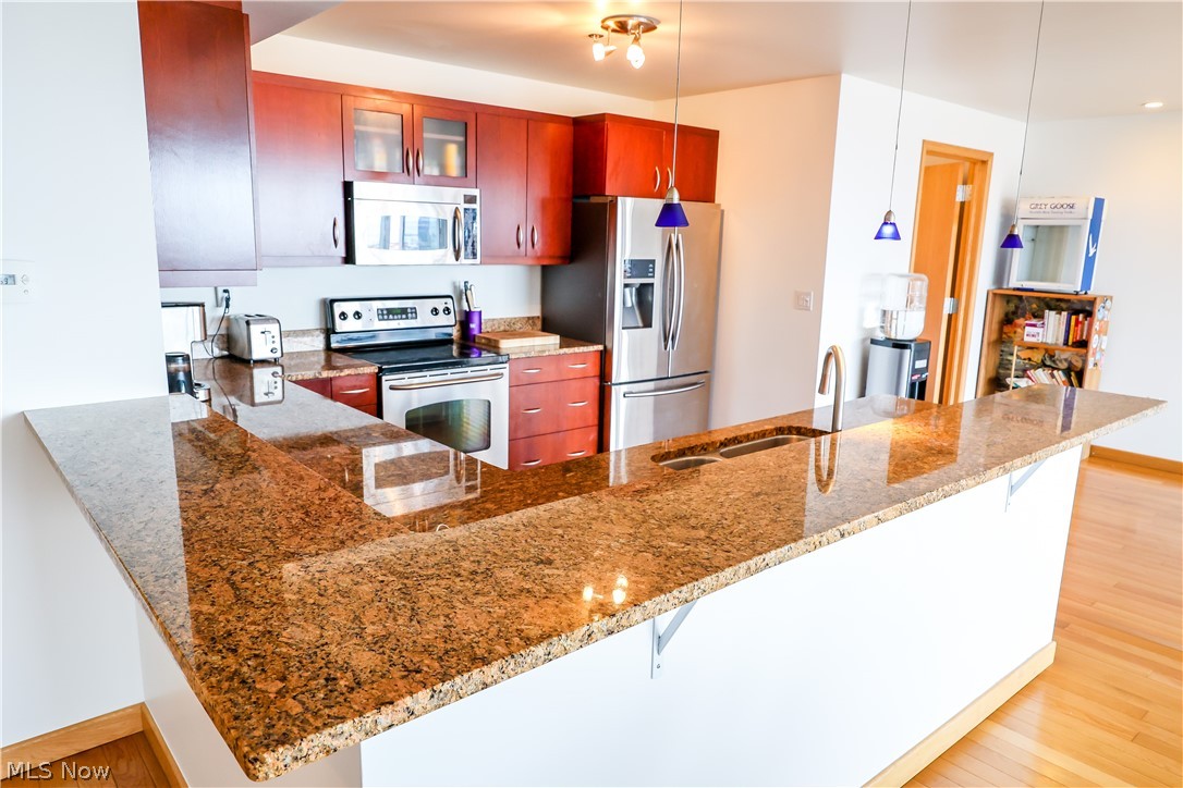 Pinnacle Condo - Residential