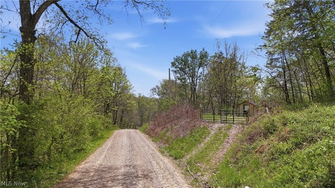 Vacant Land For Sale - Beardmore Road<br/> Monroe County, Wingett Run, OH 45789