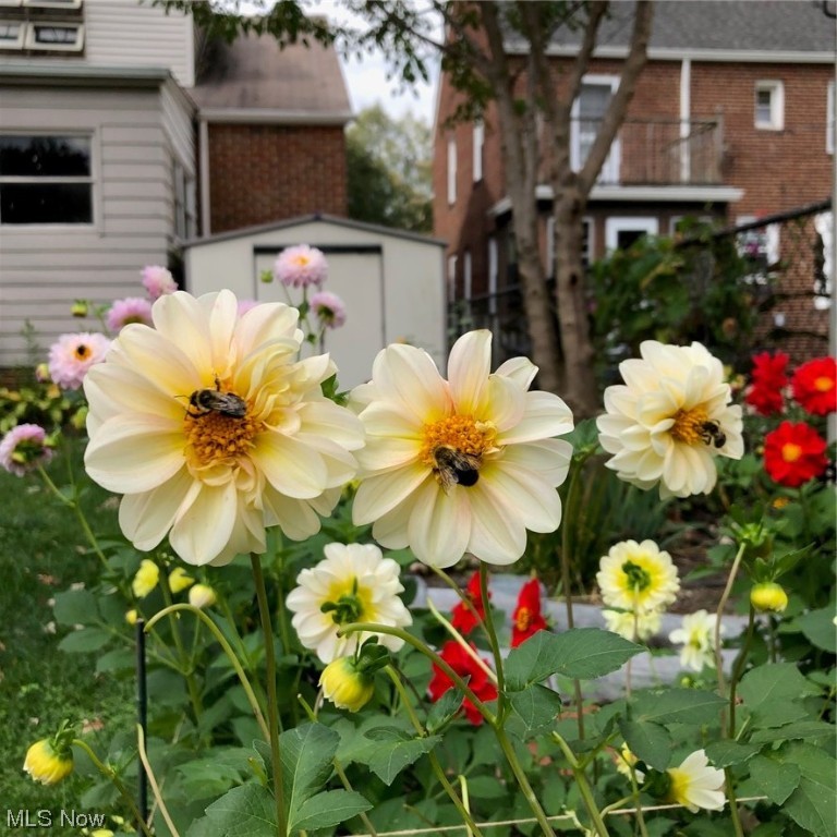 Pilgrim Heights - Residential