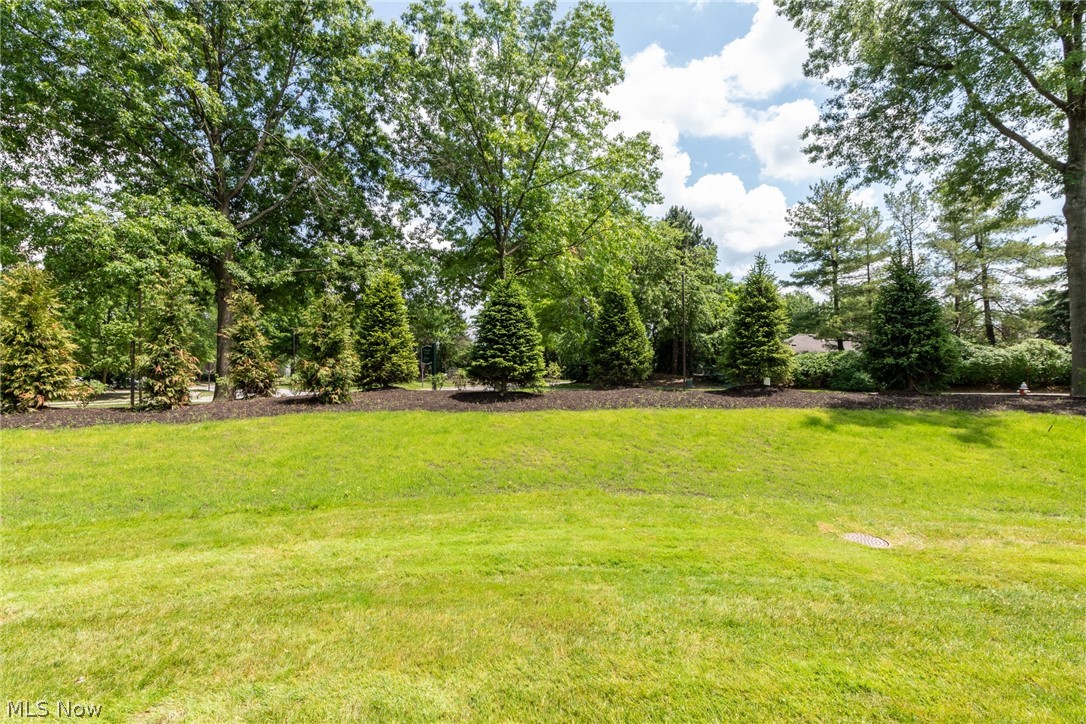 The Village - Residential