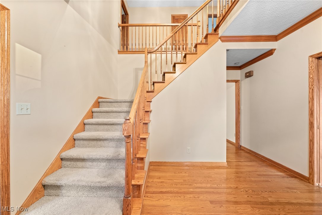 Woods of Williamsburg - Residential