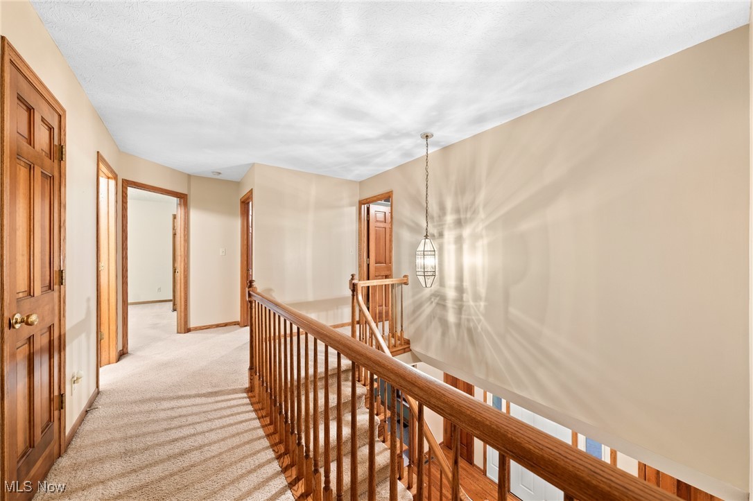 Woods of Williamsburg - Residential