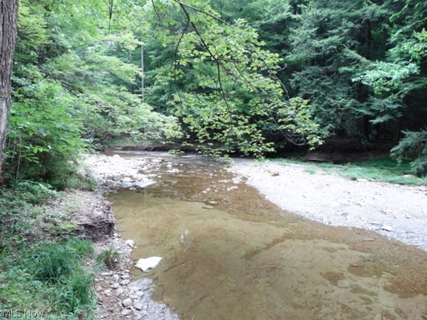 A great home site is here for you on Morley Rd in Concord. This awesome river front 3.9 acre property is breathtaking. City water and gas are at the street and there is an artesian well on the property. The 3.9 rolling acres has virgin timber and will accommodate a walk out lower level home. Great access to Rt-90 and Rt-44. Buy just the lot or build with the contractor! Call for more details.