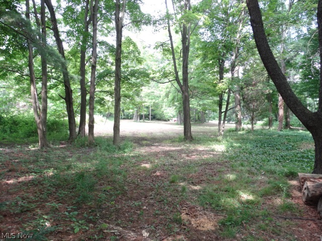 Concord Township 04 - Land