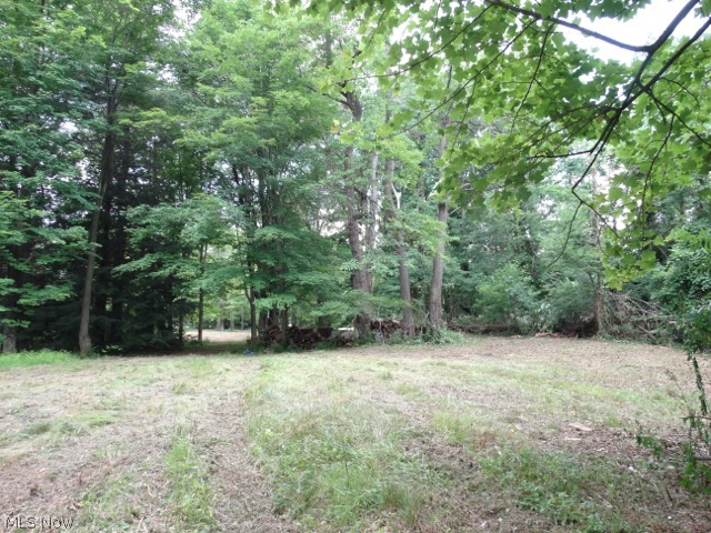 Concord Township 04 - Land