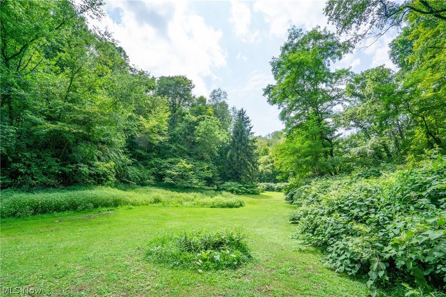 Located along Trough Run Rd in Pultney Township, this 11-acre property would make a great hunting retreat or weekend get-a-way! Mostly wooded property. Nice trails. Rolling to steep topography. Building site. Electric service at the road. Great hunting. Multiple tree stand locations. Raised shooting blind. Gated access.