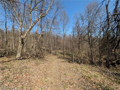 Vacant Land For Sale - Township Road 289<br/> Jefferson County, Hammondsville, OH 43945