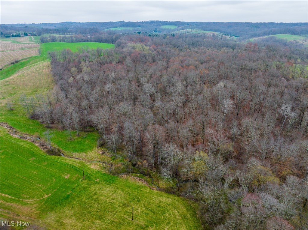 7110 Halo Road, Dellroy, Ohio image 36
