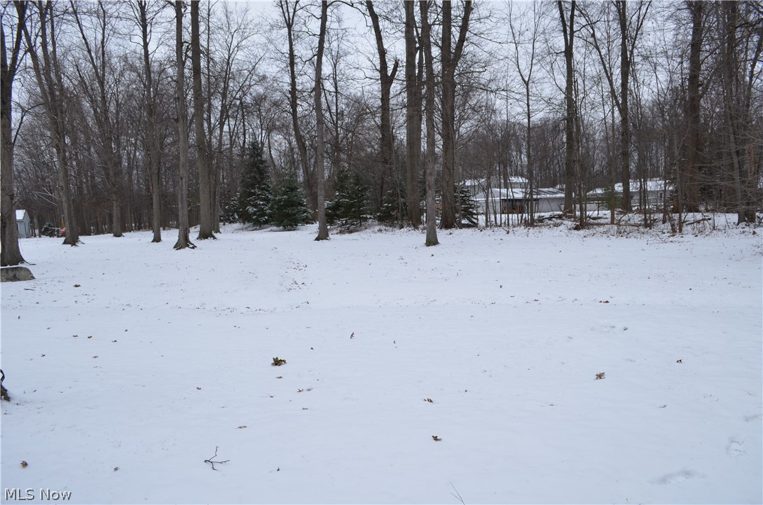 Avon Woods Condo - Residential