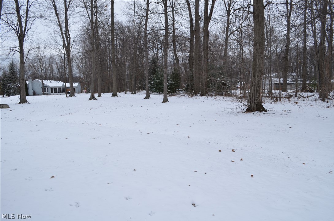 Avon Woods Condo - Residential