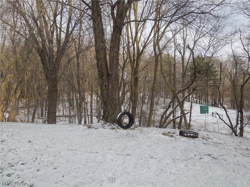 Pinedale Allotment - Residential