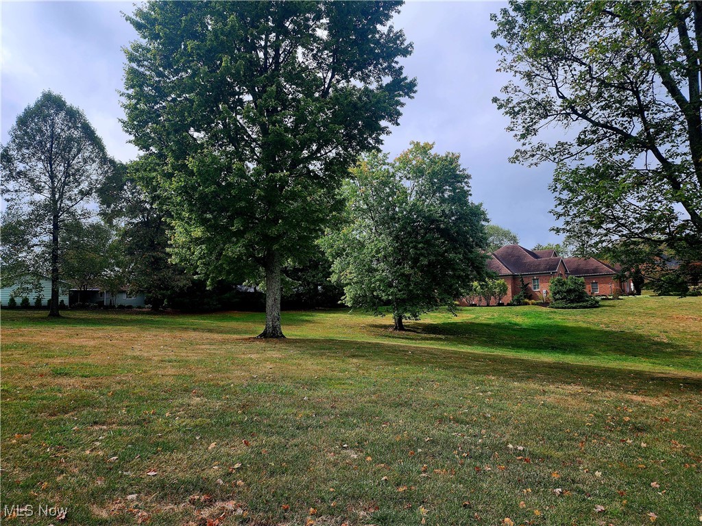 Lot 1&2 Kadie Lane, Zanesville, Texas image 2