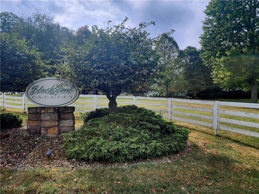 Welcome to Blackstone Estates, where the possibilities for your dream home are endless! This listing includes not one, but two beautiful building lots just waiting for you to bring your vision to life. With public utilities available, the convenience and accessibility of this location cannot be beaten. Whether you're looking to build a cozy home or a grand estate, these lots provide the perfect blank canvas for your dream home. Don't miss out on this incredible opportunity to create the home you've always wanted in the highly desirable Blackstone Estates.