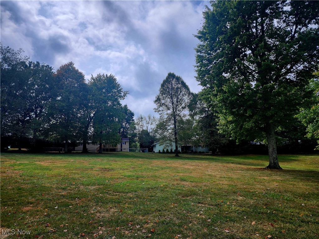Lot 1&2 Kadie Lane, Zanesville, Texas image 3
