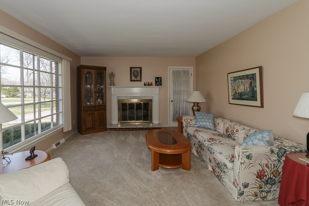 Mountain Meadow - Residential