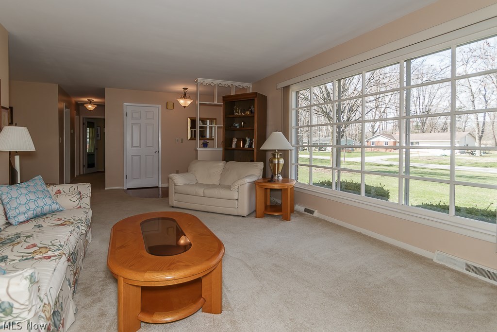 Mountain Meadow - Residential