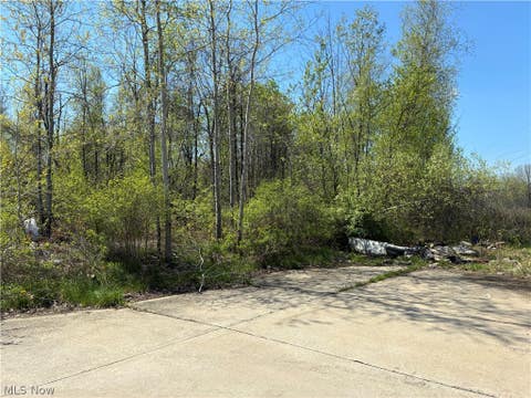 Vacant Land For Sale - Sferra Avenue<br/> Trumbull County, Warren, OH 44483