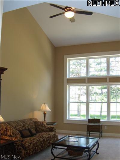 Briar Ridge - Residential