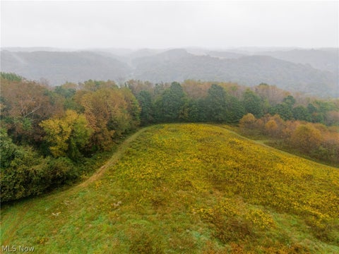 Vacant Land For Sale - 87788 New Rumley Road<br/> Jewett, OH 43986